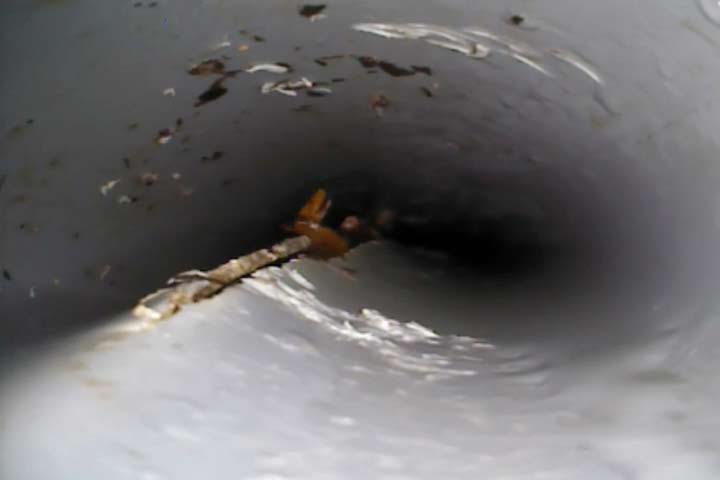 Sewer & water drain property inspection survey brocken pipe from roots Cyprus